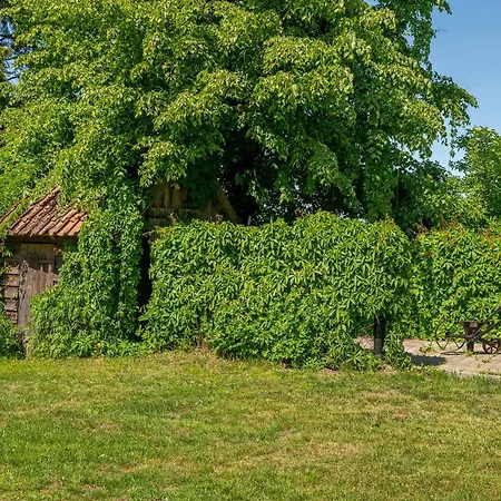 Zantyr54 Dwie Rzeki I *