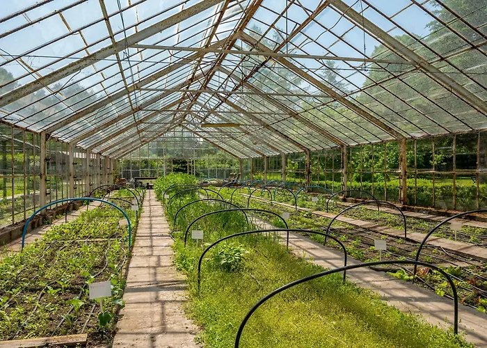 בית נופש Zantyr54 Dwie Rzeki I