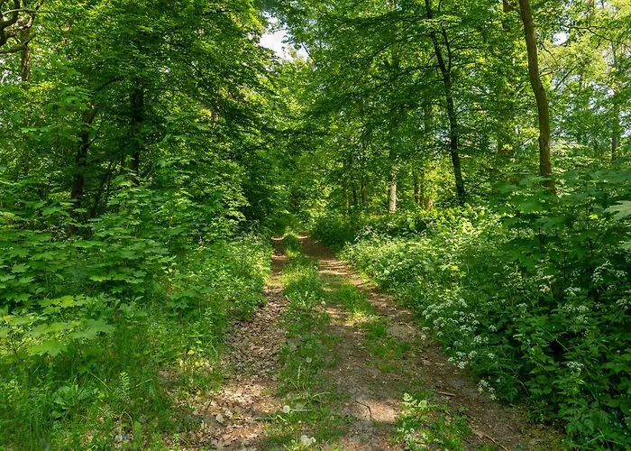 Zantyr54 Dwie Rzeki I * Biala Gora