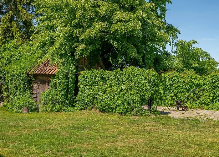 Zantyr54 Dwie Rzeki I *